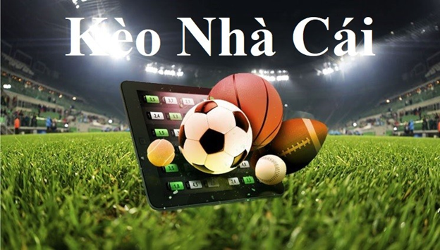 kết quả bóng đá việt nam bây giờ kết quả bóng đá việt nam bây giờ